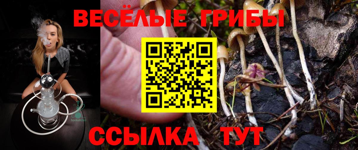 Галлюциногенные грибы мицелий Горно-Алтайск