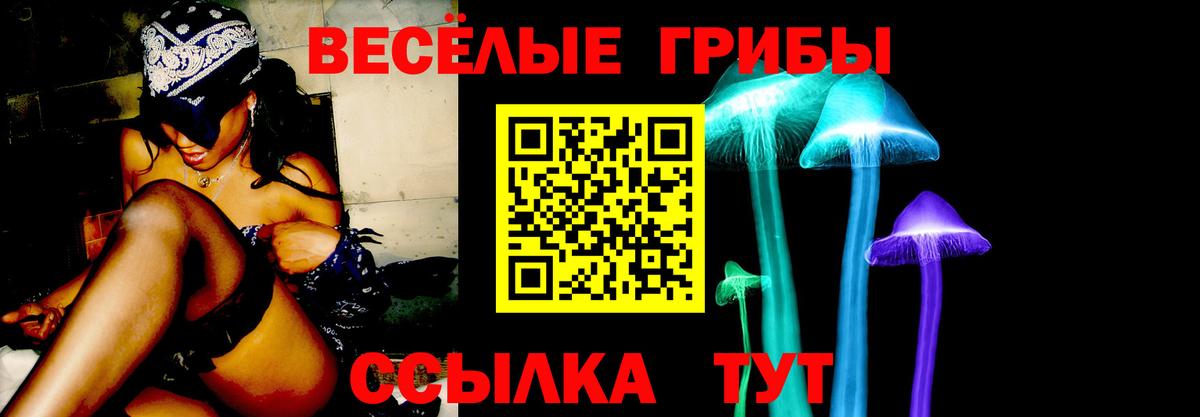 Псилоцибиновые грибы мицелий  Вход с VPN  Горно-Алтайск 